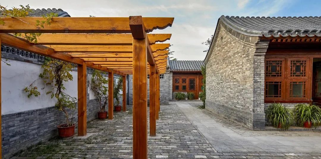 北京"最美庭院"揭榜!这是人气最高的十个京城小院儿_新浪财经_新浪网