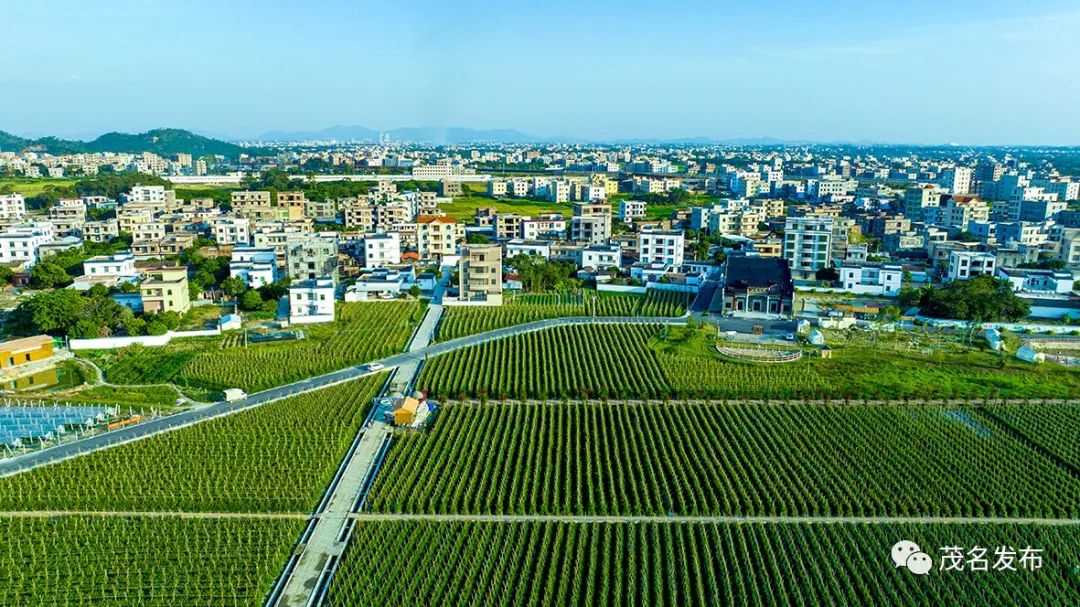 茂南区羊角镇潭段村.