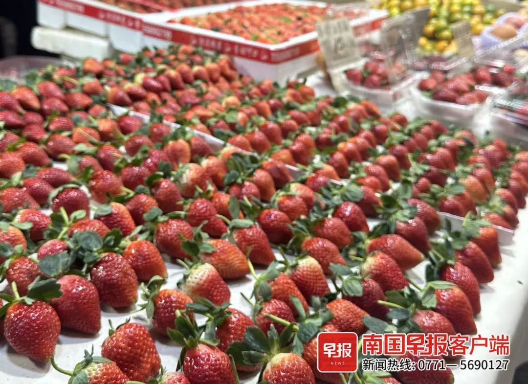 云南,安徽等地,品种主要有京藏香,香野,红颜和妙香7号等,它们的草莓