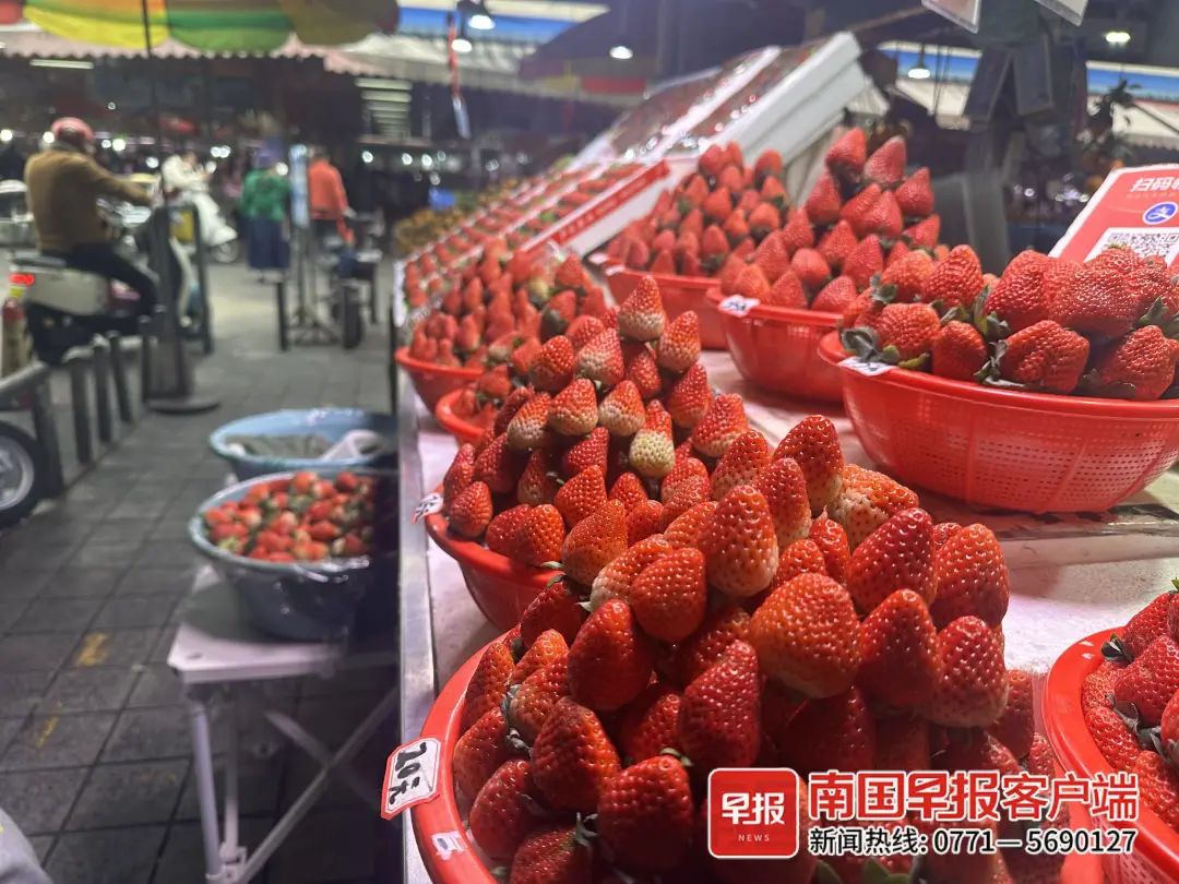 ▲淡村农贸市场里，时令草莓位居水果摊的C位。南国早报全媒体记者 张文卉摄