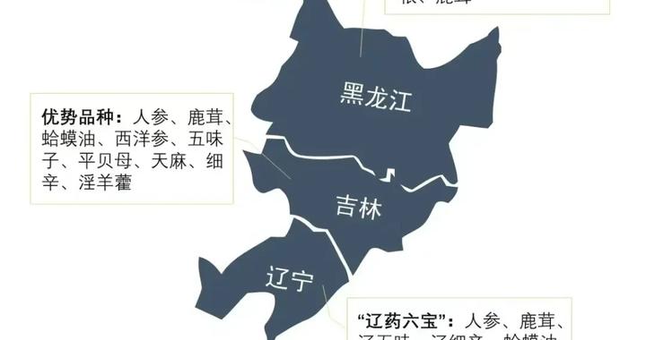 中国道地药材|中国|药材_新浪新闻