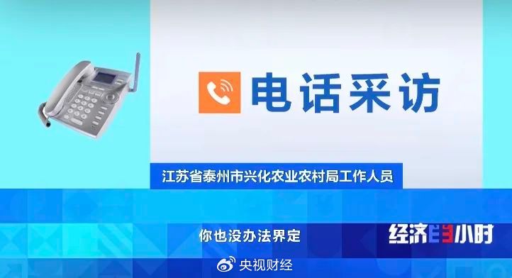 沐曦股份一季报出炉，营收大幅增长但亏损还在继续