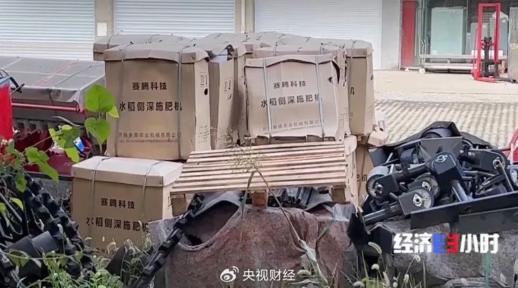 担心幼鸽家飞丢失，有几个小技巧可以减少幼鸽家飞丢失