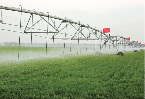 图为高标准农田内自走式桁架喷灌机进行喷灌作业.