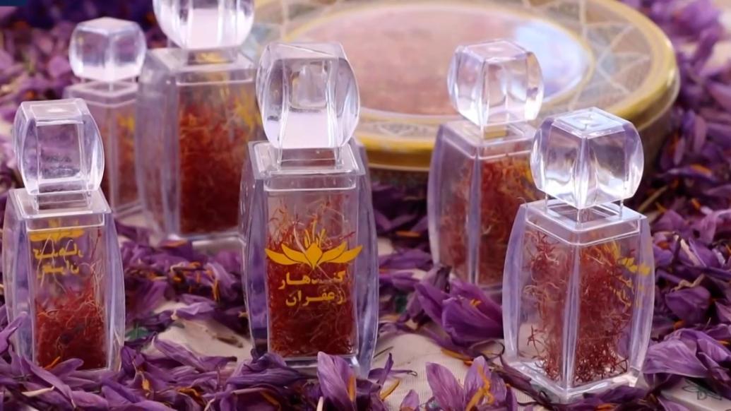 阿富汗禁毒工作持续,坎大哈农民改种经济作物_手机新浪网