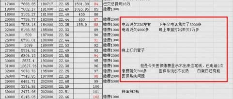 戴沐白和朱竹清身份