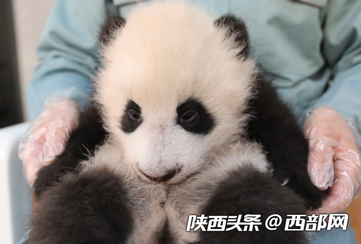 雷克萨斯2023款LS和ES有何升级 雷克萨斯新车亮点和市场表现如何