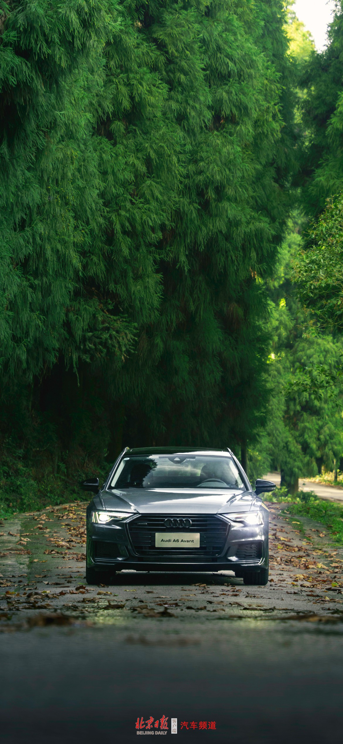 12月壁纸上新:来自奥迪"活出生命的辽阔"-新浪汽车