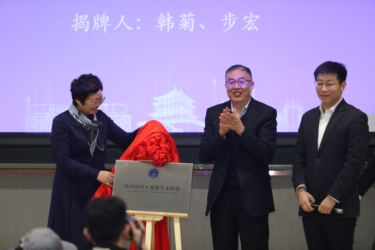 包含北京大学肿瘤医院医院排队代办挂号合规加急协调的词条