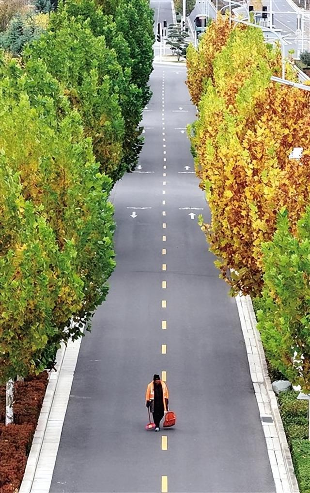 丹水大道上的法桐树橙黄相间正观新闻·郑州晚报记者 王一品/文 马健