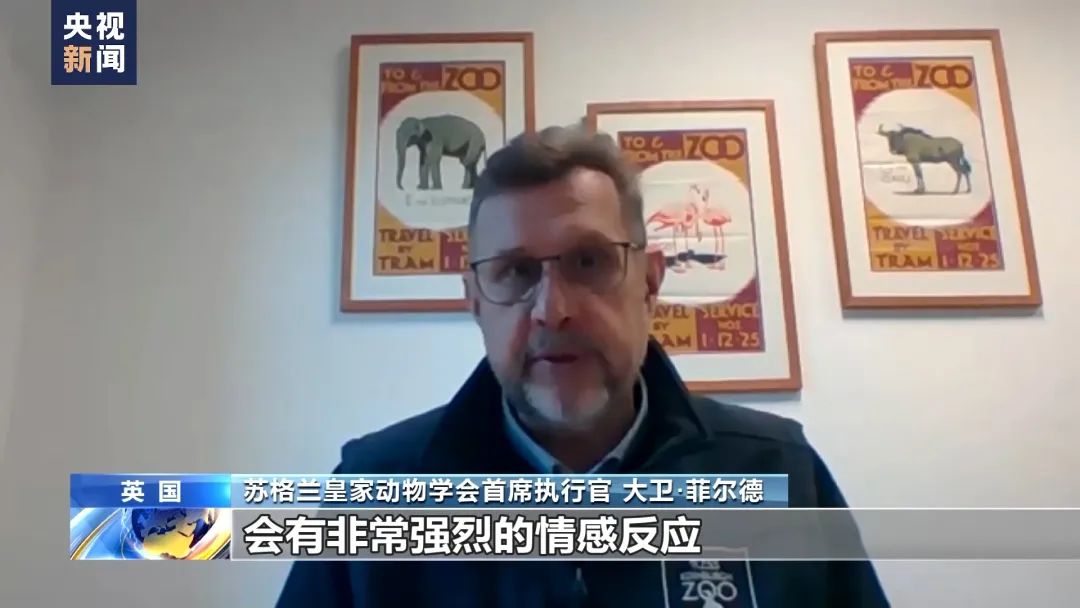 腊肉蒜苔不炒盐，一口爆汁两碗饭