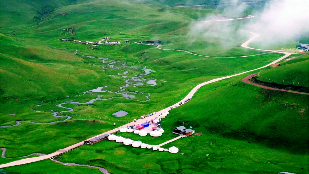 会泽大海草山(夏)&nbsp;云南省林业和草原局 供图