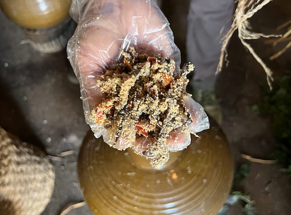 普嬢嬢做的茄子鲊