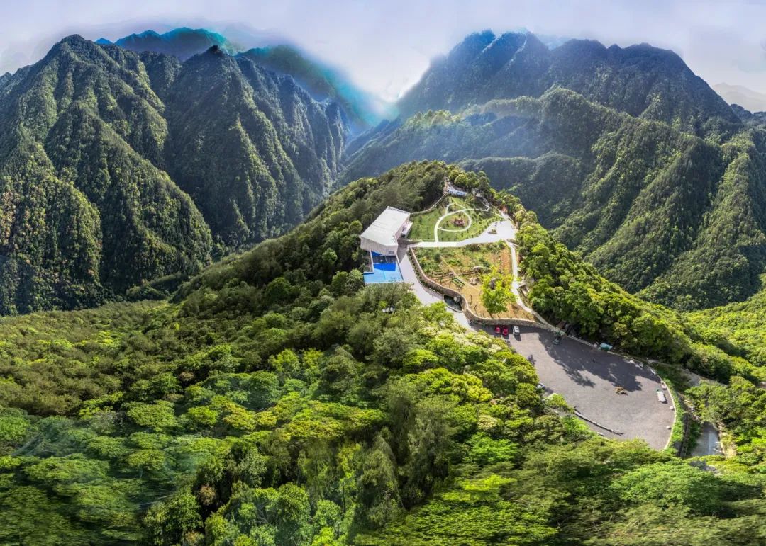 猴王谷森林康养基地文成县位于浙南山区,森林资源非常丰富.