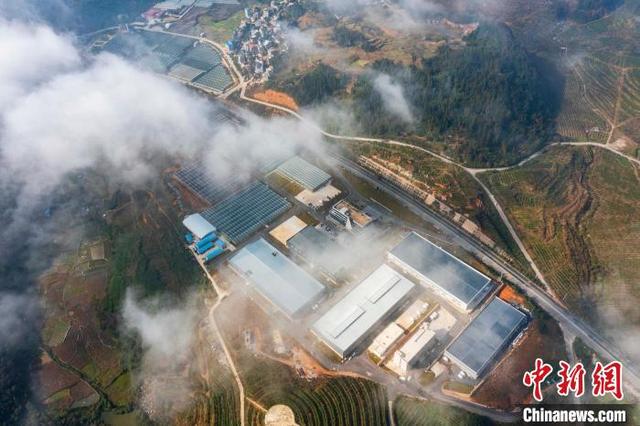 航拍贵州省从江县贯洞镇百香果产业示范园种苗繁育中心.吴德军 摄