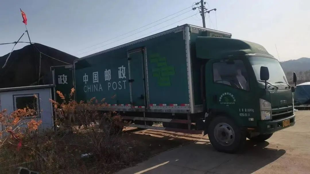 本溪同城快递行业洞察：提升本地包裹传递效率的新趋势