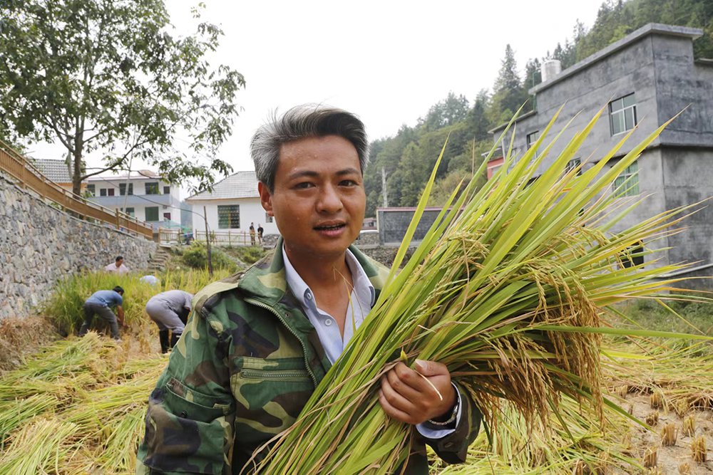 胶鞋书记的花田故事记重庆市酉阳土家族苗族自治县花田乡党委副书记