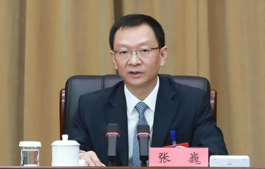 中共中央批准:张巍同志任河南省委委员,常委和省纪委书记