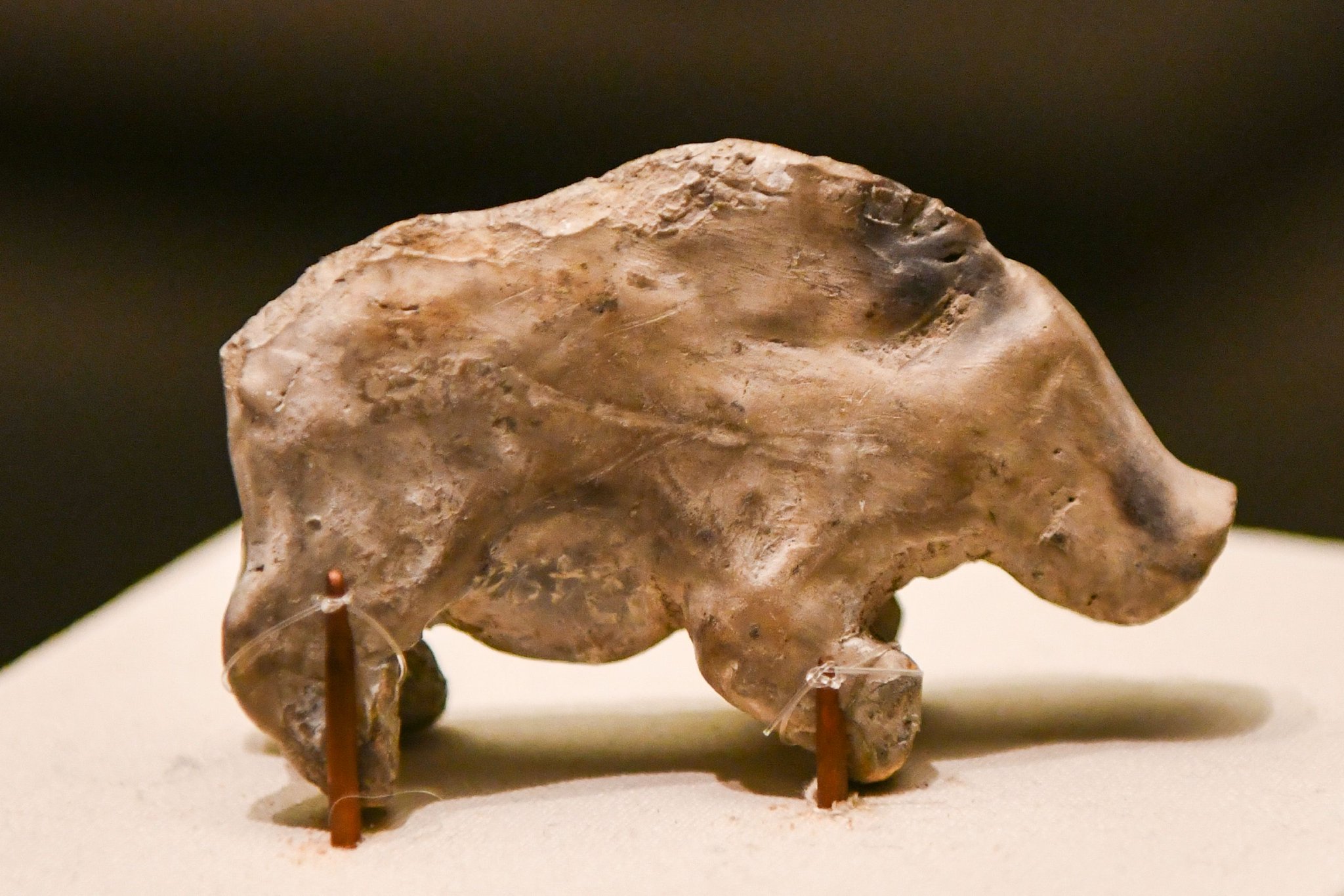 再现教科书里的世界级考古发现,远古江南河姆渡走进国博