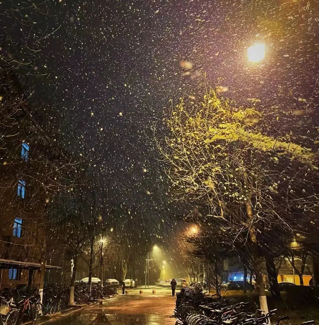 全北京银装素裹!乡亲们呐,起床看雪啦!