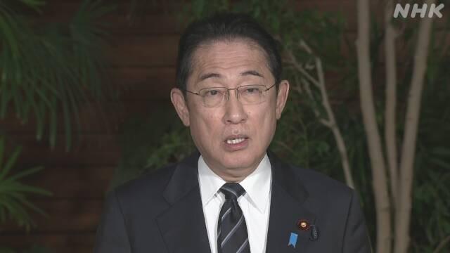 日本首相岸田文雄 资料图片