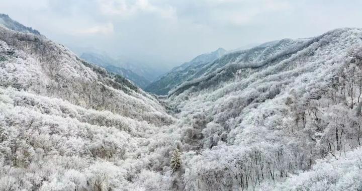 一醉千年!小布带你欣赏“下在宋画里的雪”→|秦岭|美的|雪景|摄影师|西安_新浪新闻