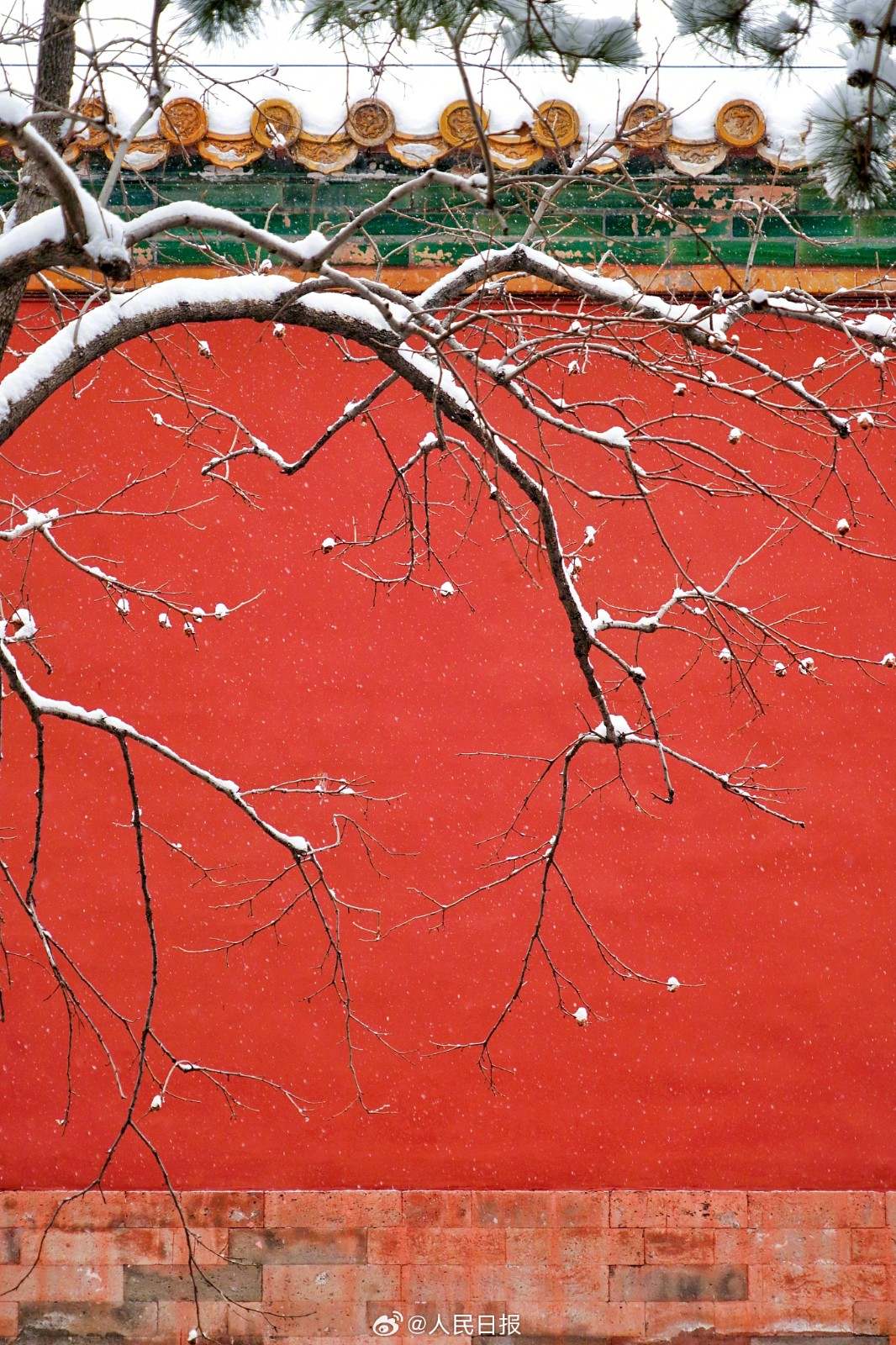 白雪红墙!故宫雪景再上新