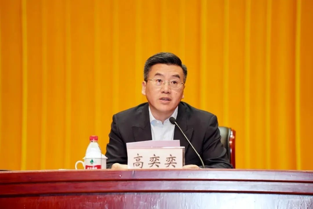 上海市宝山区区长高奕奕,被查|上海市_新浪财经_新浪网