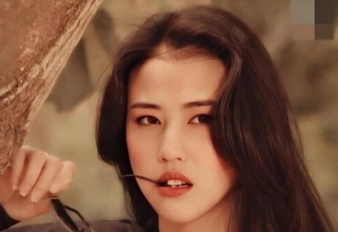 ▲周海媚（图/网络）