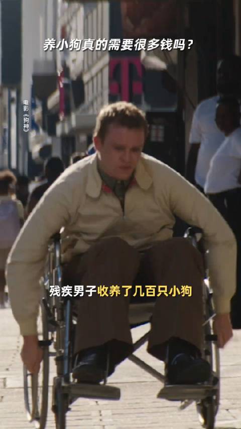 电影狗神 小狗的爱从不撒谎 每一个爱狗的人看到《狗神》|道格拉斯|流浪狗|大房子|乳腺|小狗们_新浪新闻