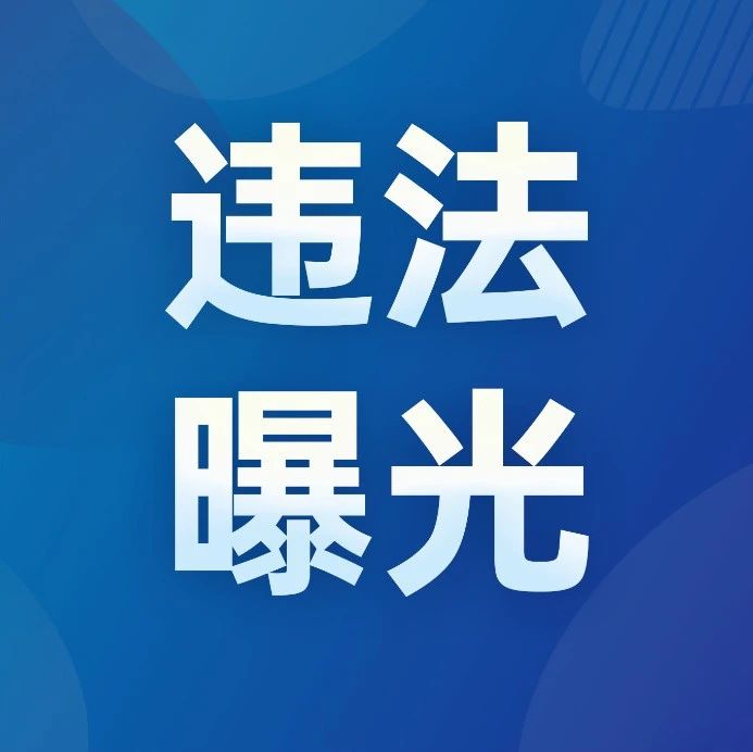 闯红灯！逆行！乱穿乱行！哈市这些驾驶人被处罚→|交警_新浪新闻