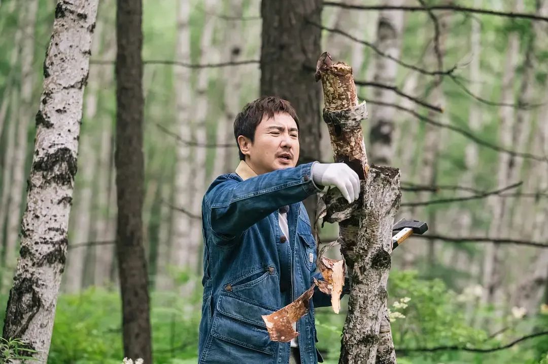 一种综艺趋势:不想卷了,回归生活|沈腾_新浪财经_新浪网