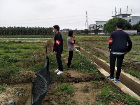 惠城seo推广优化