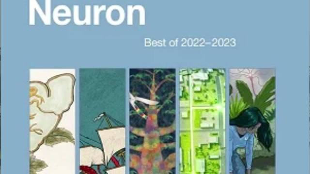 Neuron 2022-2023 年度最佳论文特刊出炉|打卡|大爆炸|知识|健康_新浪新闻