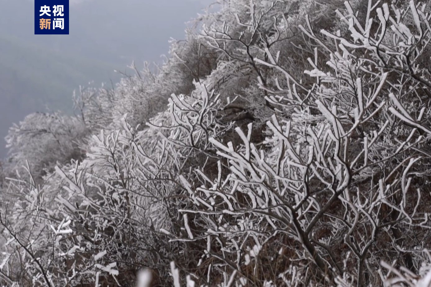 江西低温雨雪范围扩大 70个县(市、区)出现雨夹雪或雪|雨雪|阵风|江西省_新浪新闻