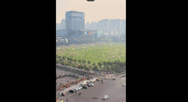 〓 只要有草坪的地方，都长满了晒太阳的成都人！/图源：微博@程度小直