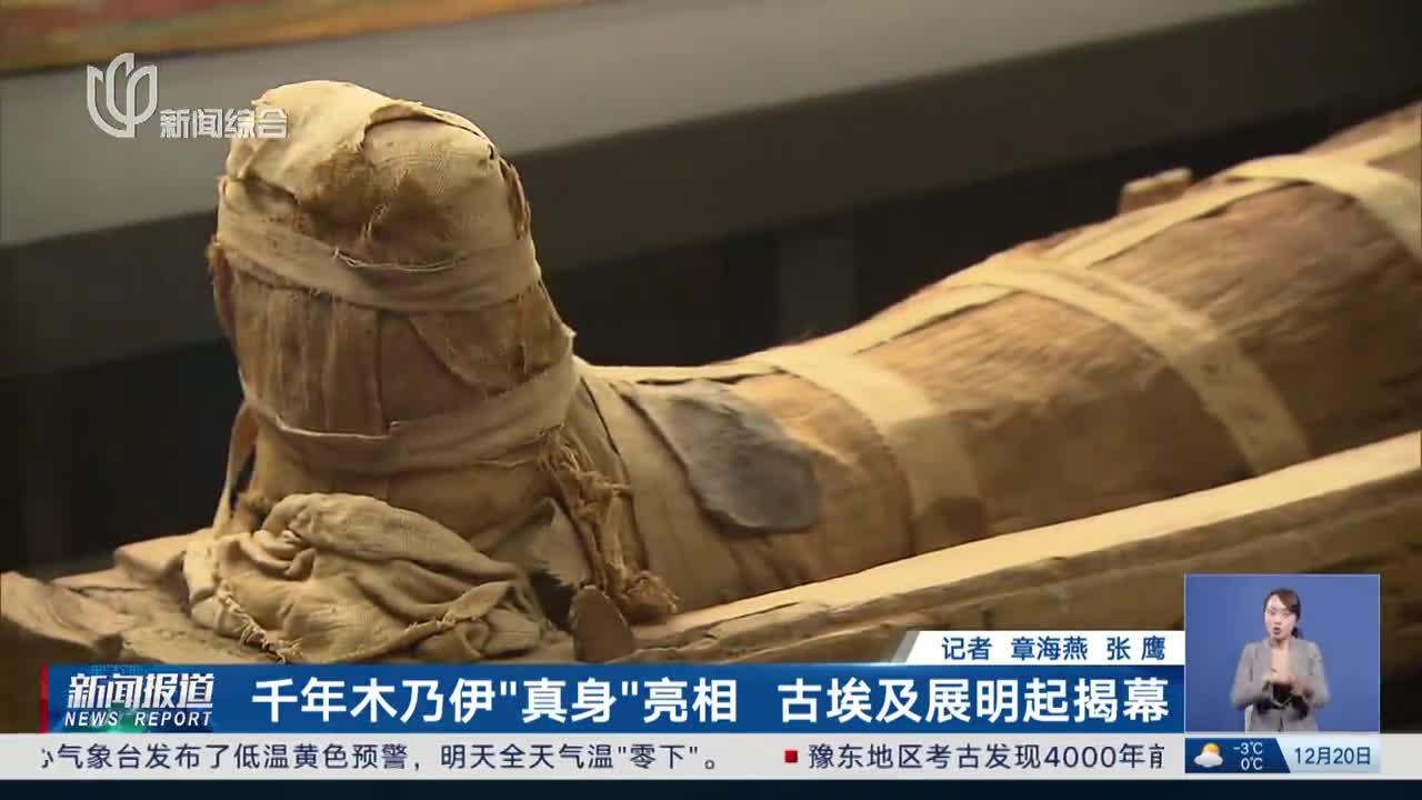 千年木乃伊"真身"亮相 古埃及展明起揭幕