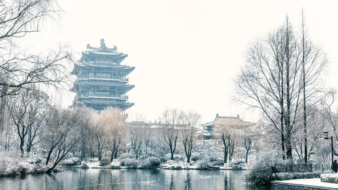 一入冬便热气蒸腾,这"清泉之城"太懂享受|济南的冬天_新浪财经_新浪网