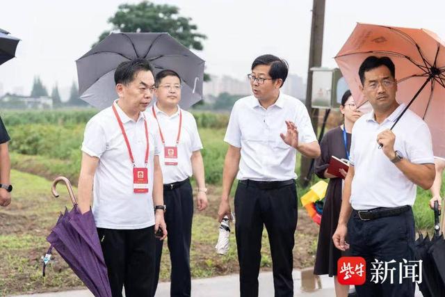 张家港市锦丰镇:多措并举齐发力,下好村庄环境长效管理"一盘棋"
