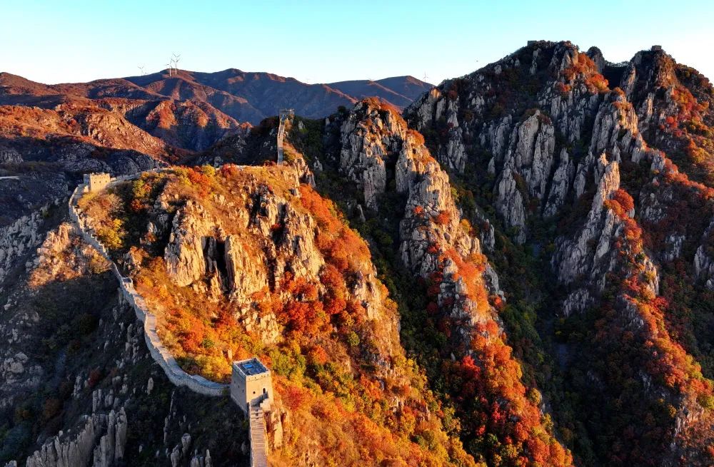 写400多年前的亲情故事——河北秦皇岛长城沿线采访记|后裔_新浪财经