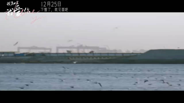 张晚意、孙怡《我知道我爱你》定档……|张晚意|我知道我爱你|韩剧_新浪新闻