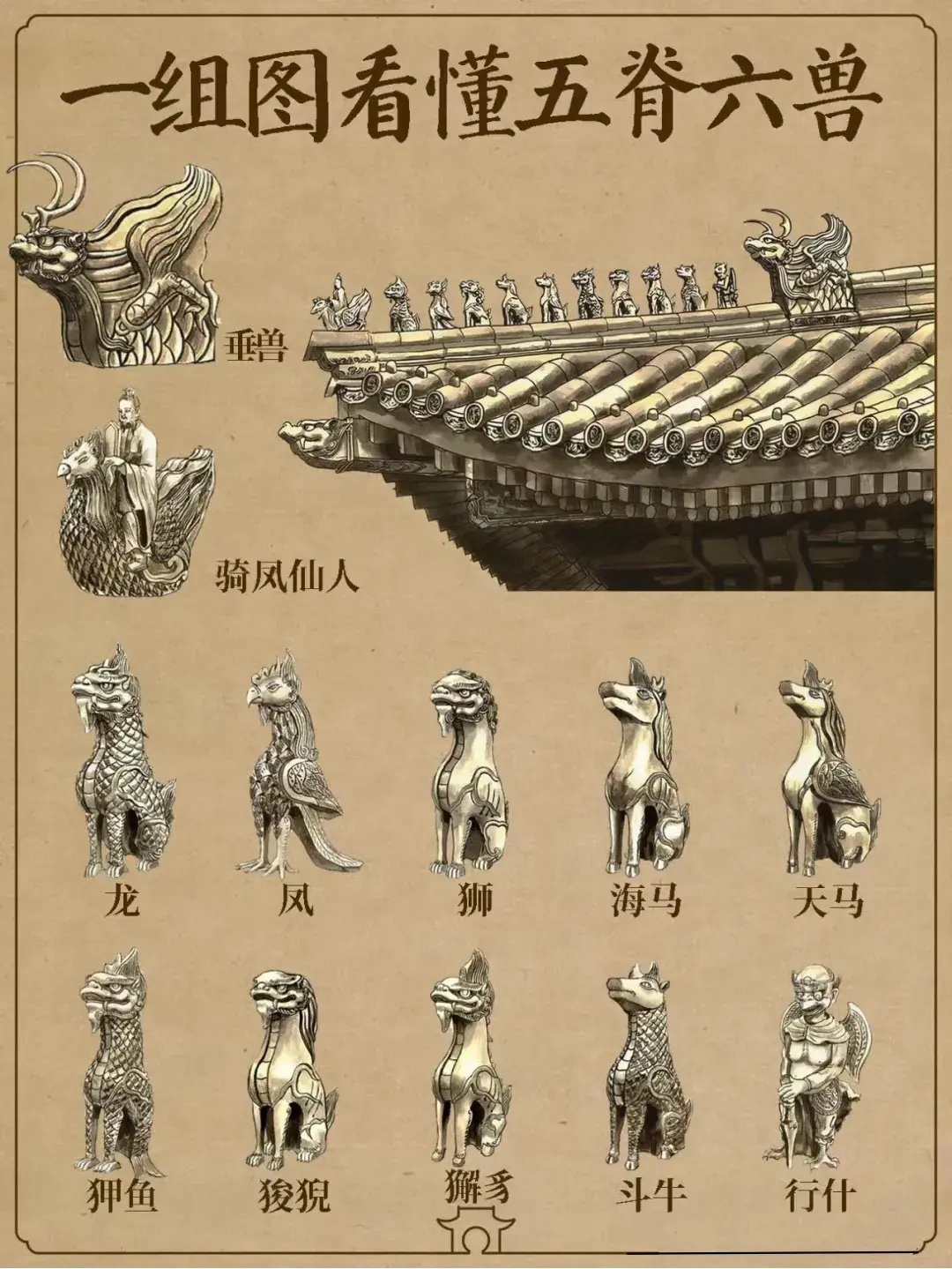 一组图看懂五脊六兽_新浪新闻