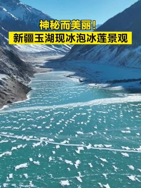神秘而美丽!新疆玉湖现冰泡冰莲景观|新疆_新浪新闻