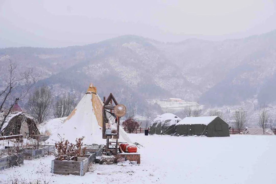 十一连冠背后的北宅智慧