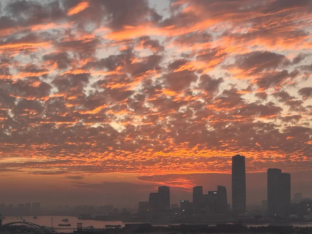 今天的这场炽热火烧云,你赶上了吗