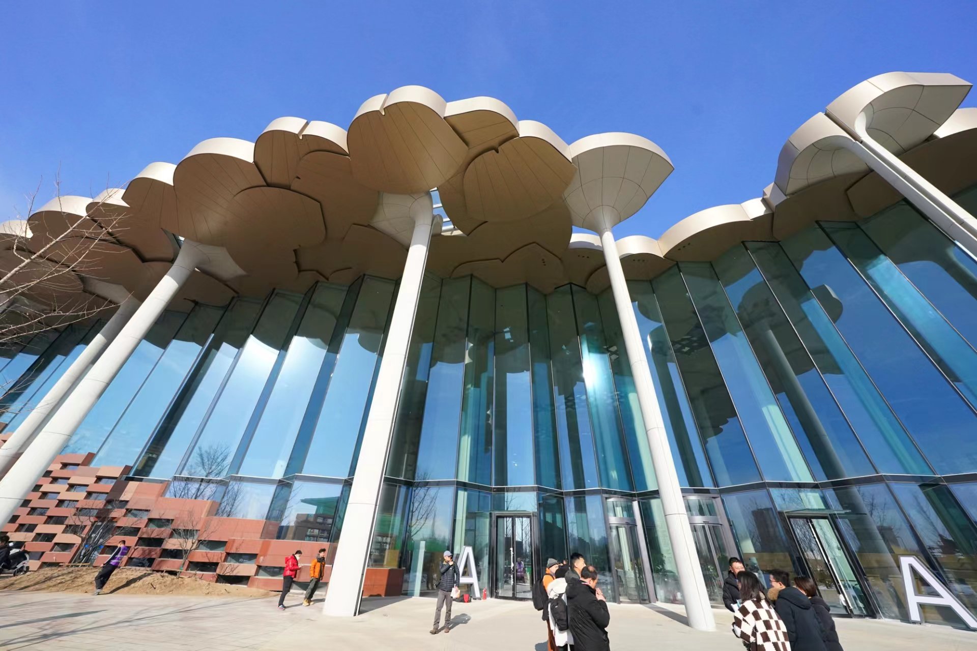 北京城市副中心三大文化建筑正式揭幕!下午对外开放|建筑_新浪财经_新