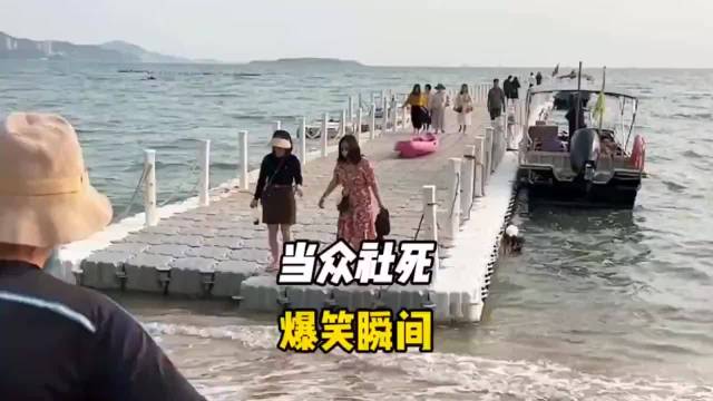 盘点社死的爆笑瞬间|哈士奇|社死_新浪新闻