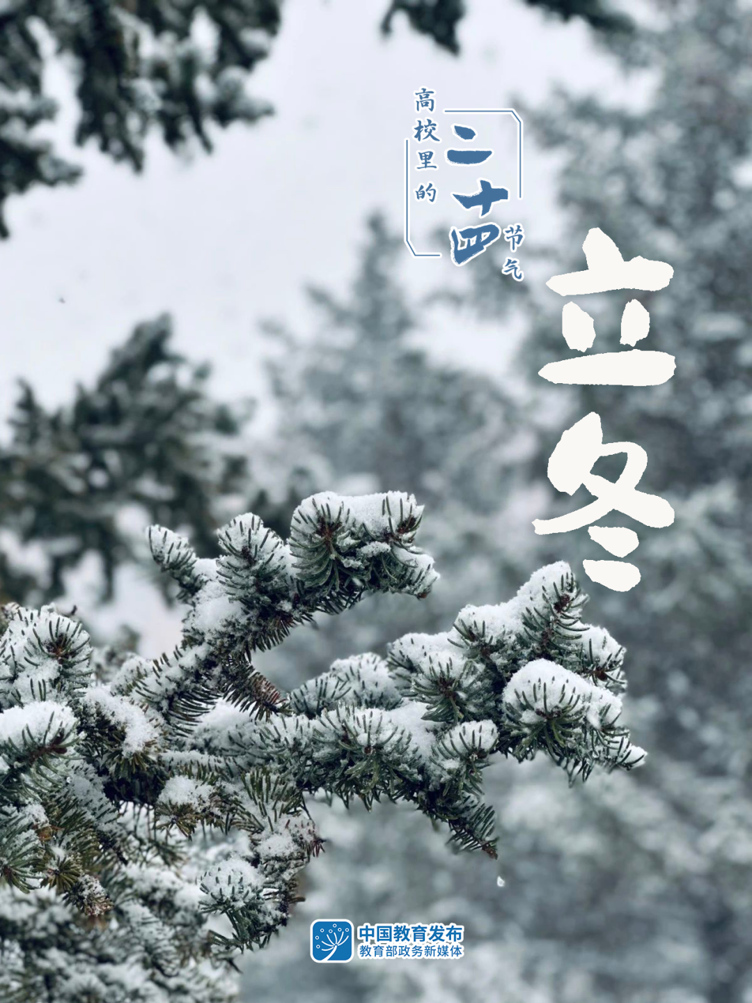 高校四季美图,张张都是壁纸 | 教育盘点2023⑤