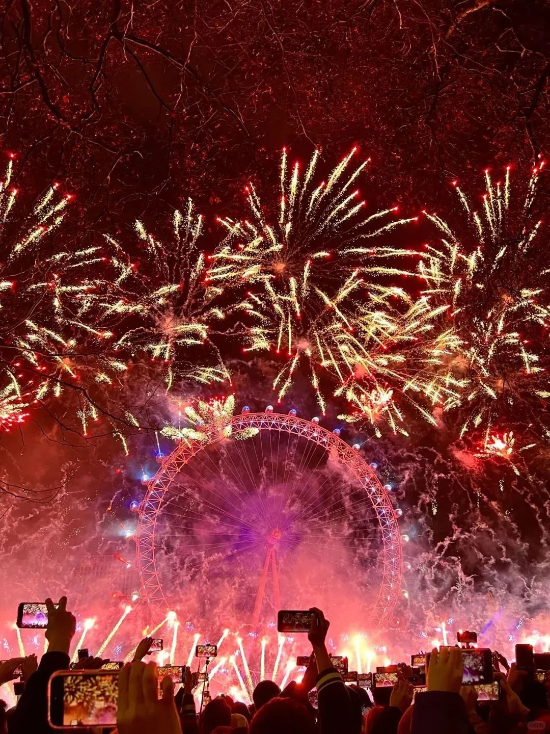 烟花秀,年味市集,飘雪,还有陈奕迅,任贤齐……快叫上你的"搭子"一起