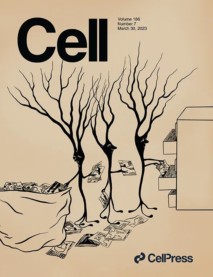 ▲《细胞》封面展示了记忆储存的过程（绘图：Julia Kuhl；来源：Cell官网）